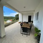 Ankica